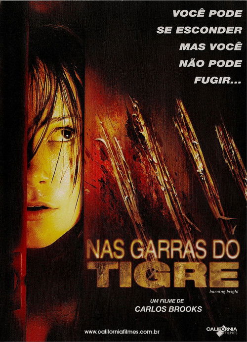 Assistir Nas Garras do Tigre