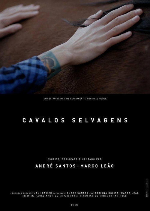 Assistir Cavalos Selvagens