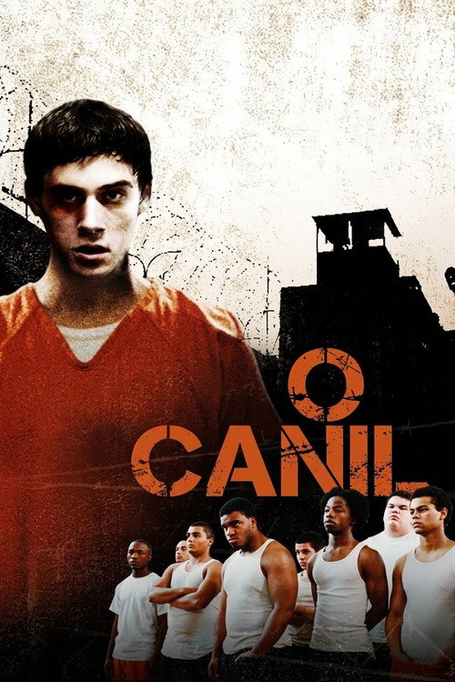 Assistir O Canil