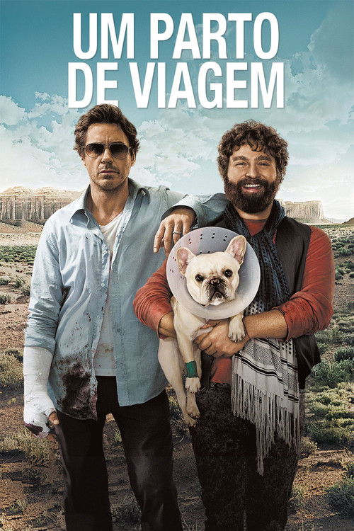 Assistir Um Parto de Viagem