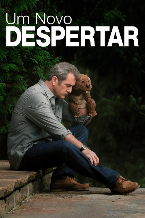 Assistir Um Novo Despertar