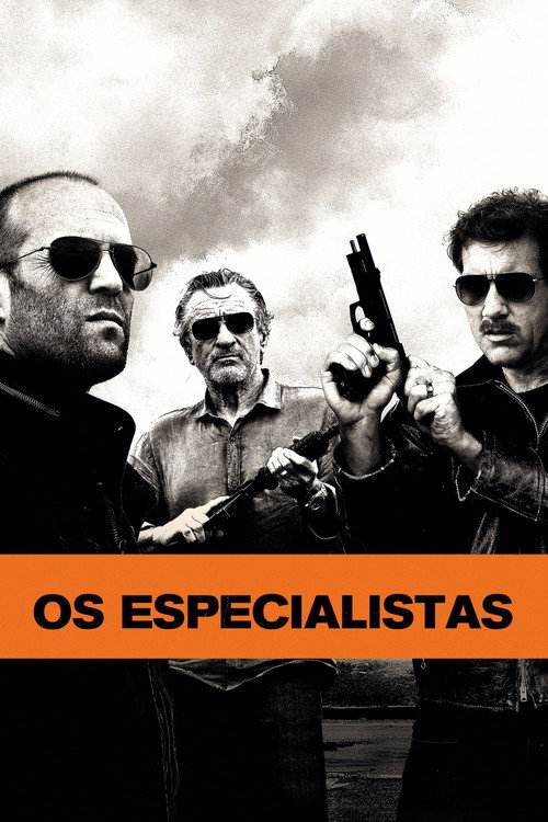 Assistir Os Especialistas
