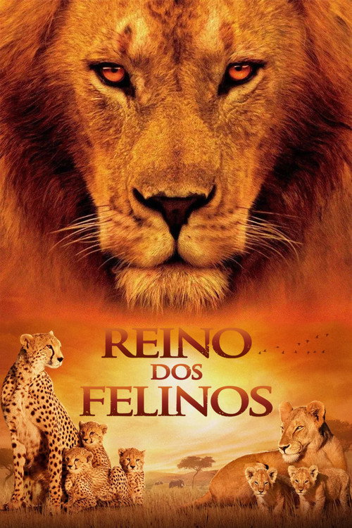 Assistir Reino dos Felinos