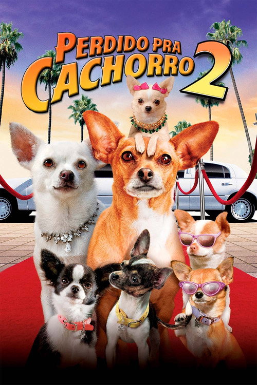 Assistir Perdido pra Cachorro 2