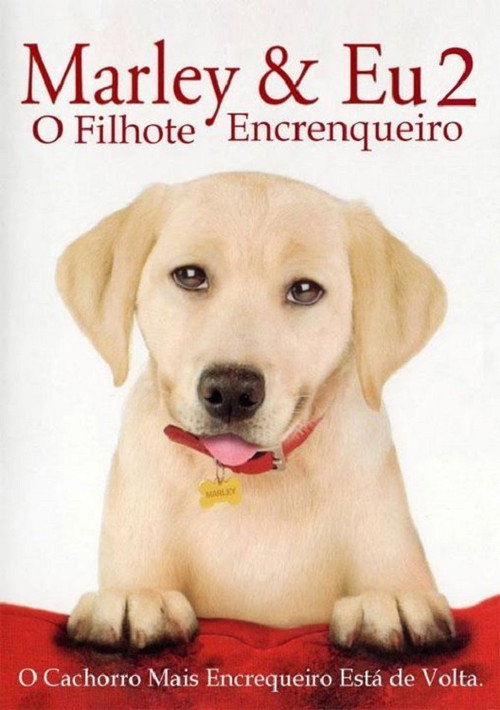 Assistir Marley & Eu 2 - Filhote Encrenqueiro