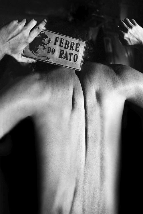 Assistir Febre do Rato