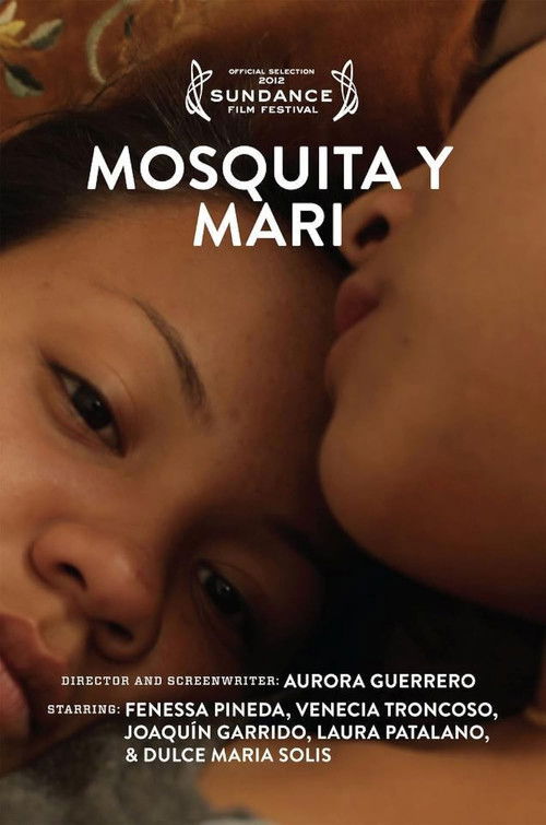 Assistir Entre Amores e Descobertas