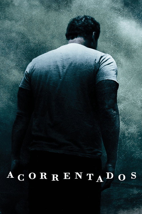 Assistir Acorrentados