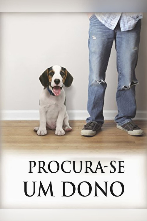 Assistir Procura-se um dono