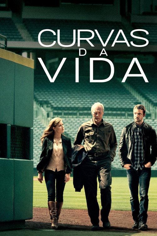 Assistir Curvas da Vida