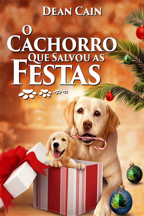 Assistir O Cachorro Que Salvou as Festas