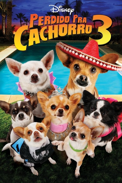 Assistir Perdido pra Cachorro 3
