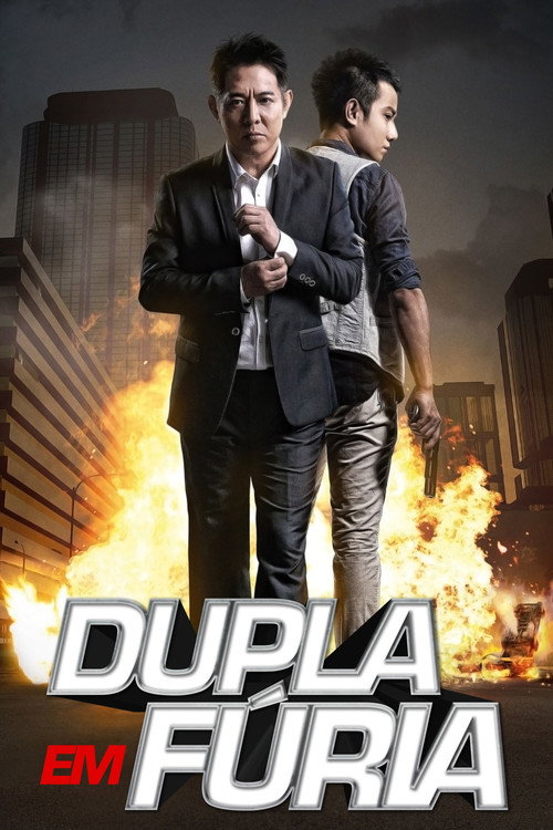 Assistir Dupla em Fúria