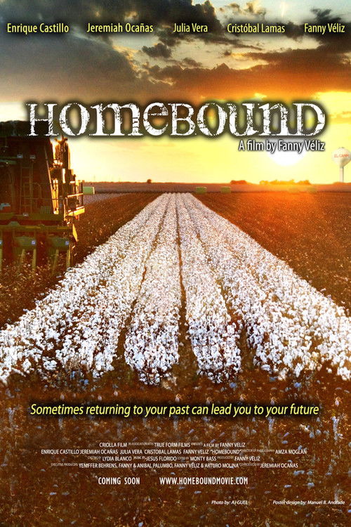 Assistir Homebound
