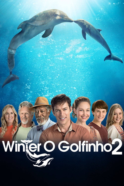 Assistir Winter, o Golfinho 2