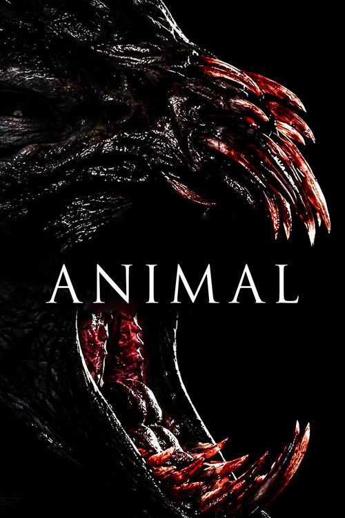 Assistir Animal