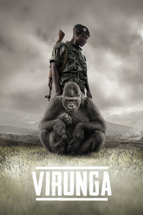 Assistir VIRUNGA