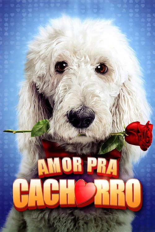 Assistir Amor Pra Cachorro