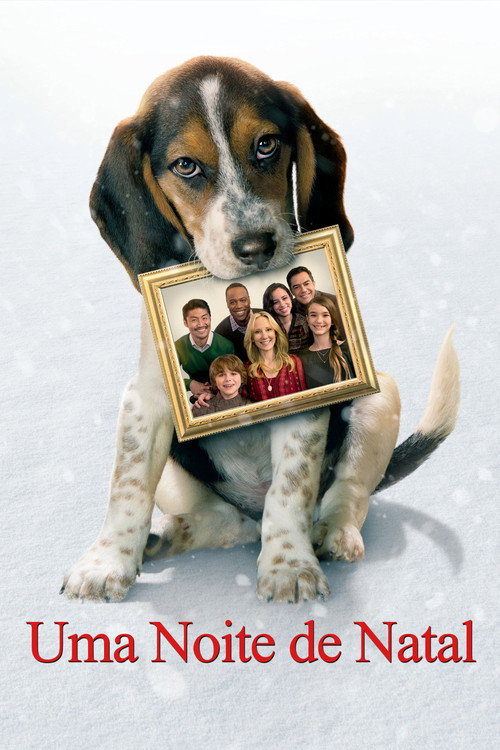 Assistir Uma Noite de Natal
