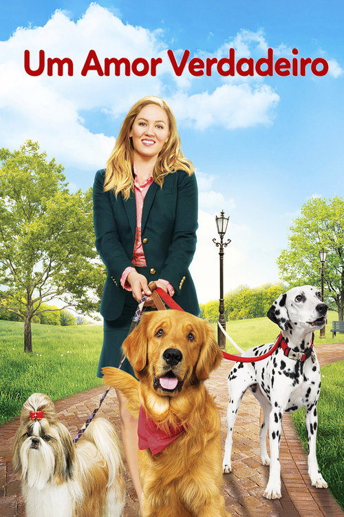 Assistir Um Amor Verdadeiro