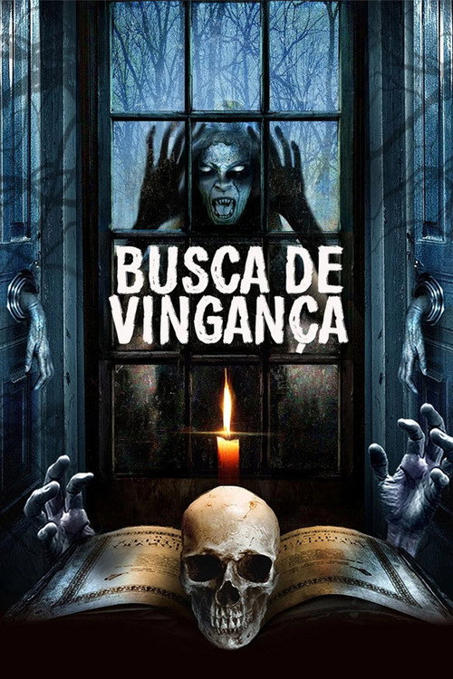 Assistir Busca de Vingança