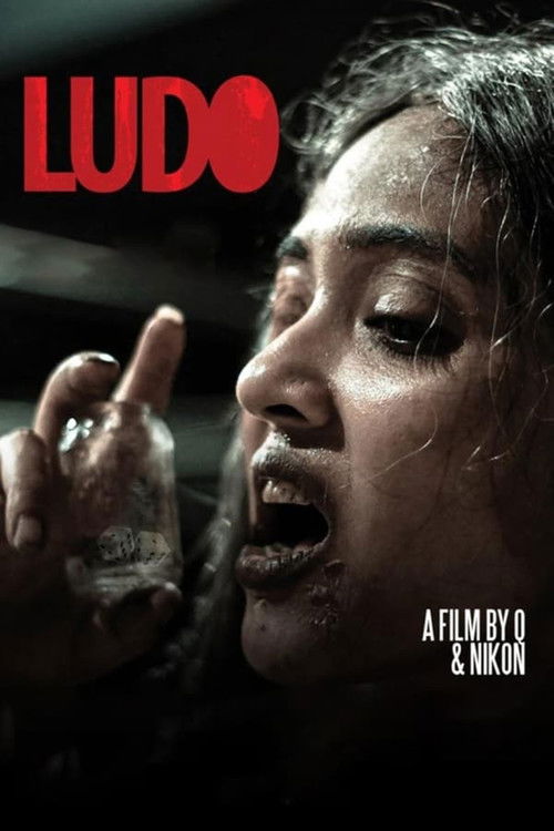Assistir Ludo