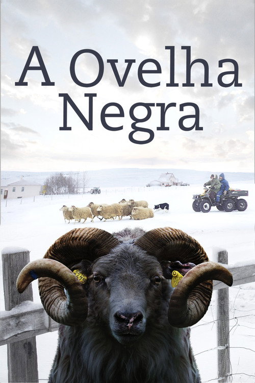 Assistir A Ovelha Negra