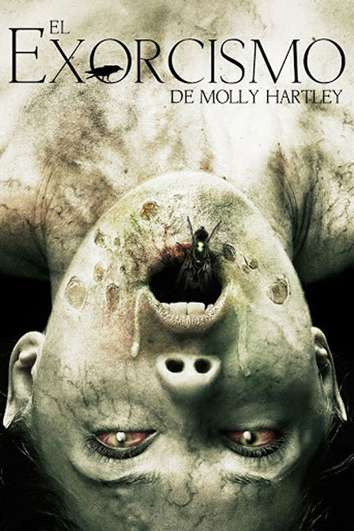 Assistir O Exorcismo de Molly Hartley