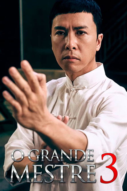 Assistir O Grande Mestre 3