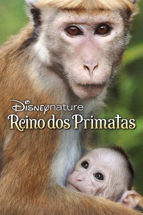 Assistir O Reino dos Primatas