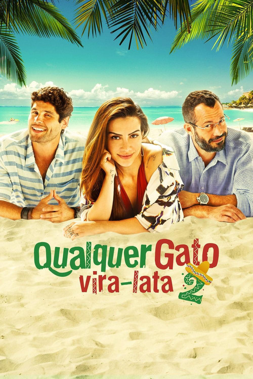 Assistir Qualquer Gato Vira-Lata 2