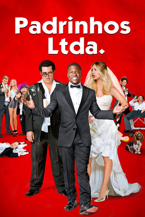 Assistir Padrinhos Ltda.