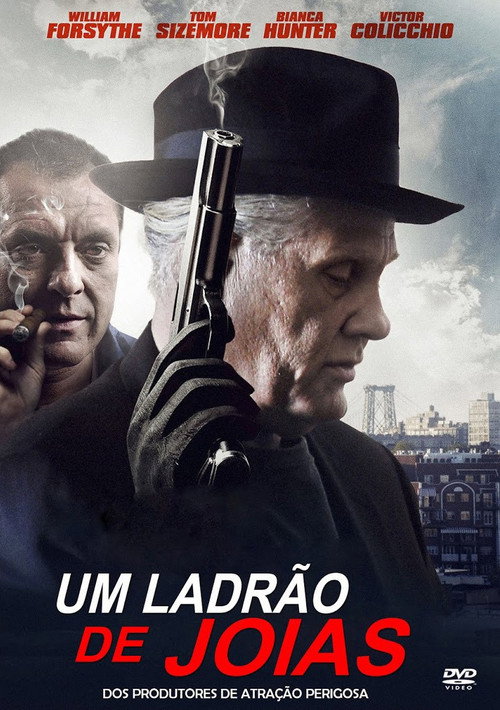 Assistir Um Ladrão de Jóias