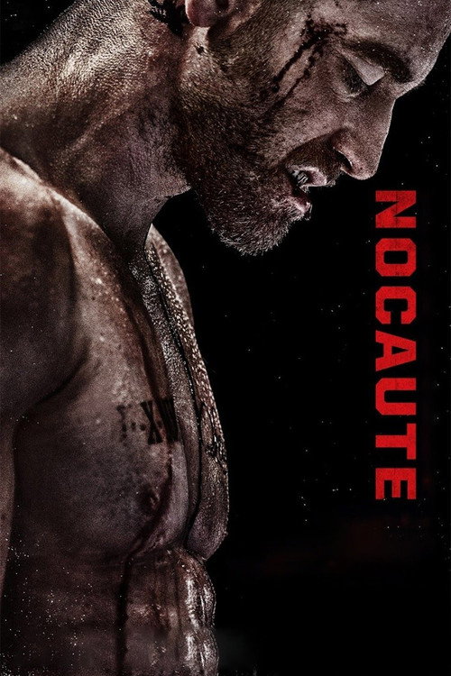 Assistir Nocaute