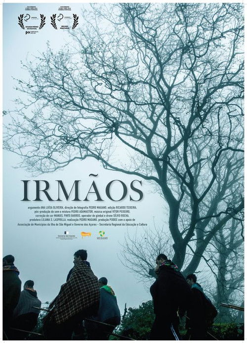 Assistir Irmãos