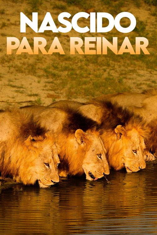 Assistir Nascido para Reinar