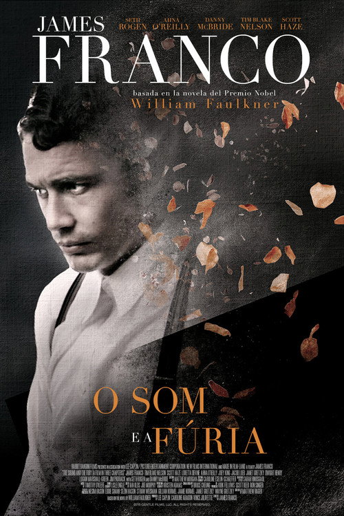 Assistir O Som e a Fúria