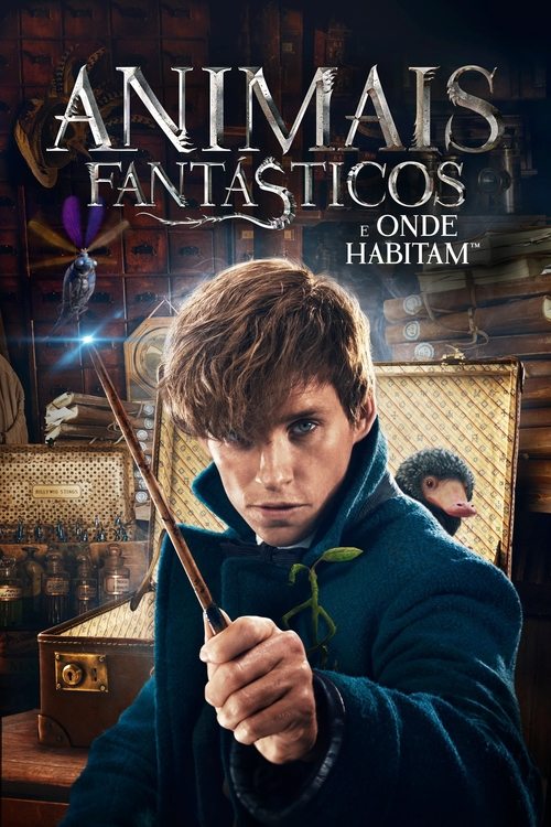 Assistir Animais Fantásticos e Onde Habitam