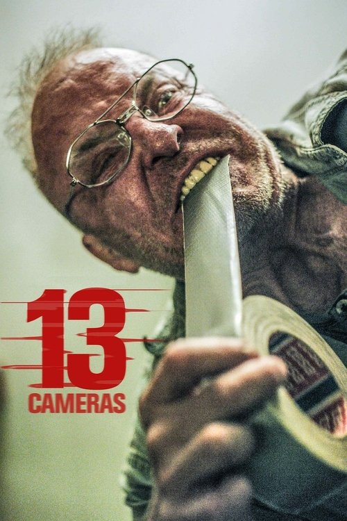 Assistir 13 Câmeras