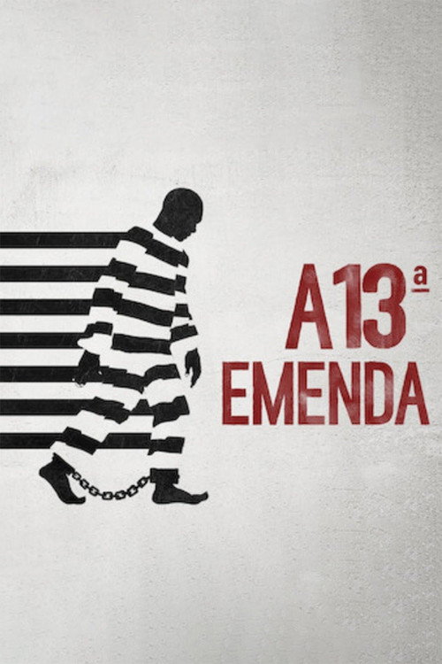 Assistir A 13ª Emenda