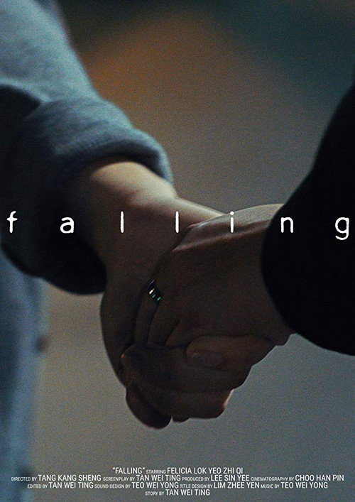 Assistir Falling