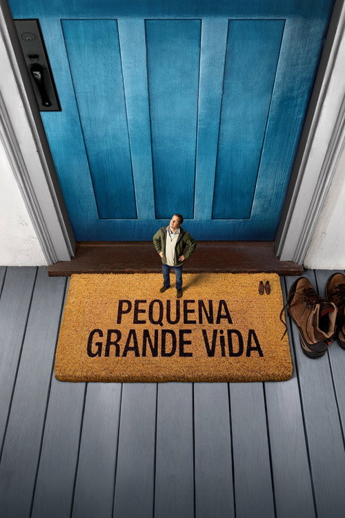 Assistir Pequena Grande Vida