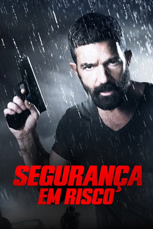 Assistir Segurança em Risco