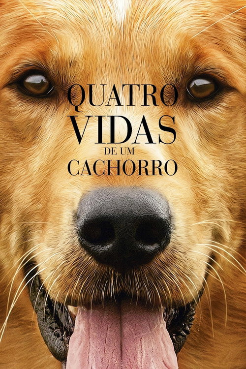 Assistir Quatro Vidas de um Cachorro