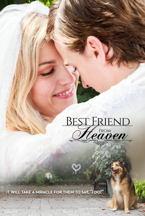 Assistir Melhor Amigo do Céu