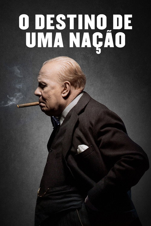 Assistir O Destino de uma Nação