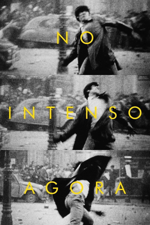 Assistir No Intenso Agora