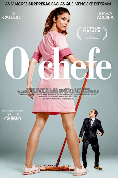 Assistir O Chefe