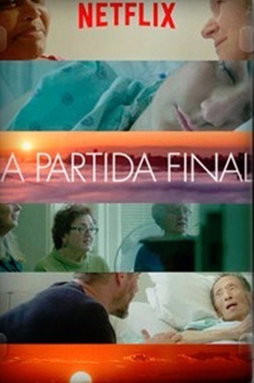Assistir A Partida Final