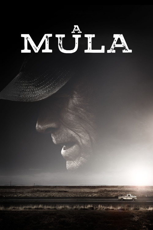 Assistir A Mula